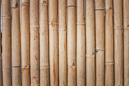 Bamboo